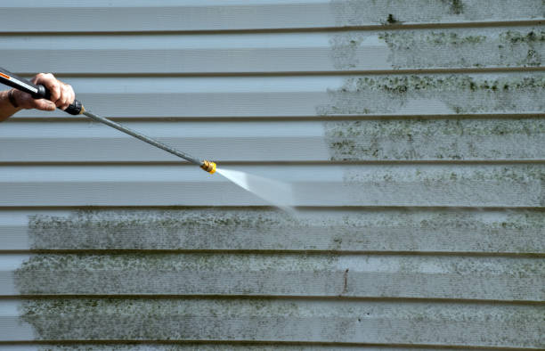 Animal Enclosure Cleaning in Harkers Island, NC